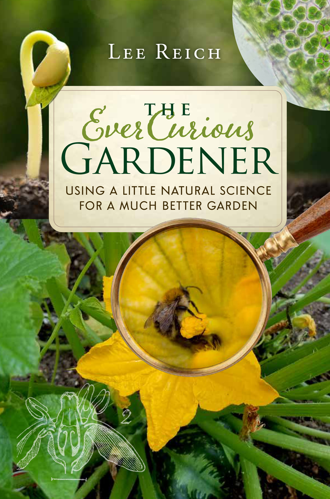 The Ever Curious Gardener Lee Reich