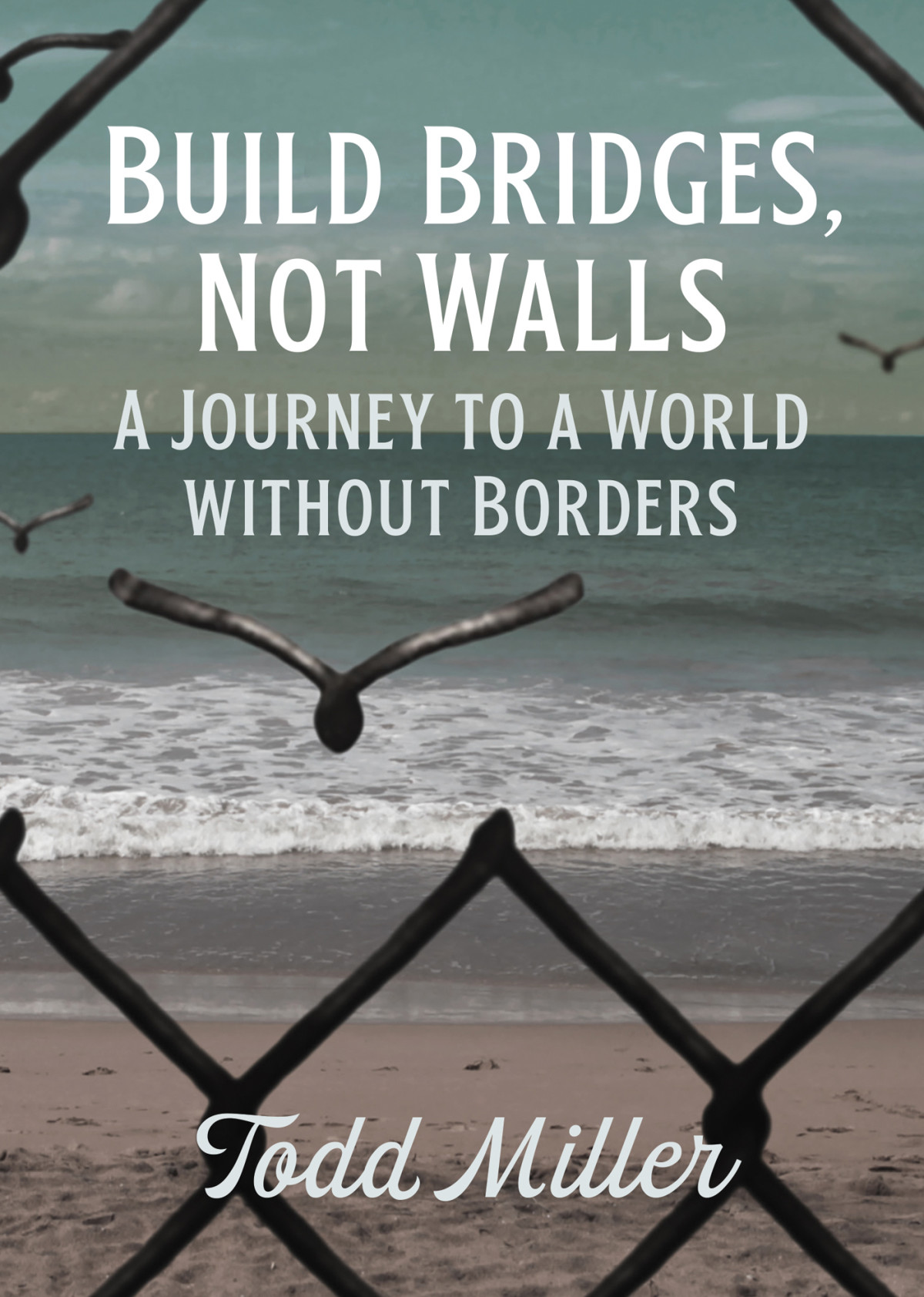 Build Bridges Not Walls Todd Miller