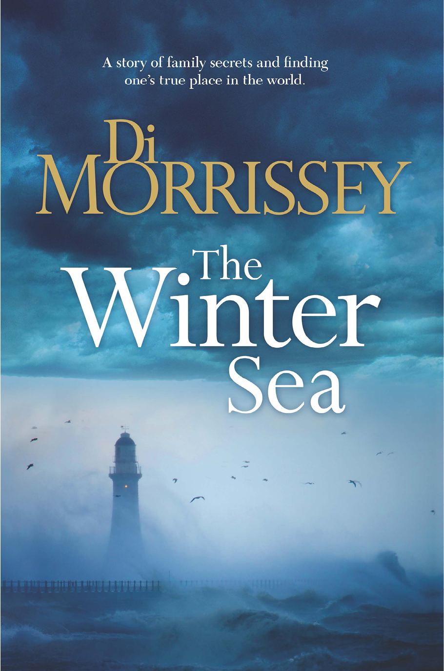 The Winter Sea Di Morrissey