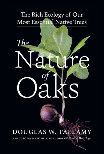 The Nature Of Oaks The Rich Ecology Of Our Most Essential Native Trees Douglas W Tallamy