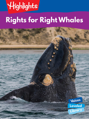 Rights For Right Whales First Edition Meish Goldish
