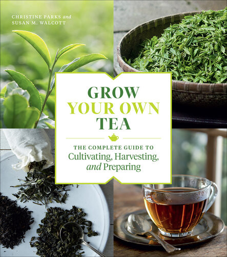 Grow Your Own Tea The Complete Guide To Cultivating Harvesting And Preparing Christine Parks Susan M Walcott
