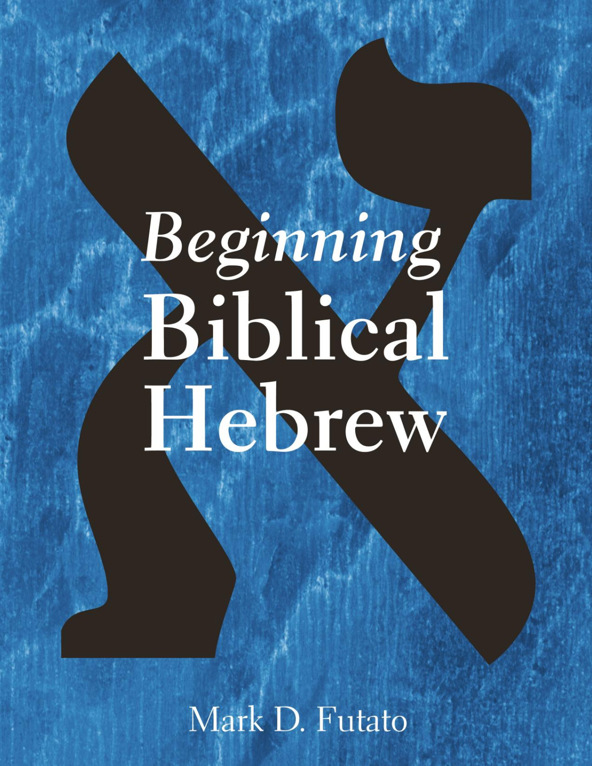 Beginning Biblical Hebrew Mark D Futato