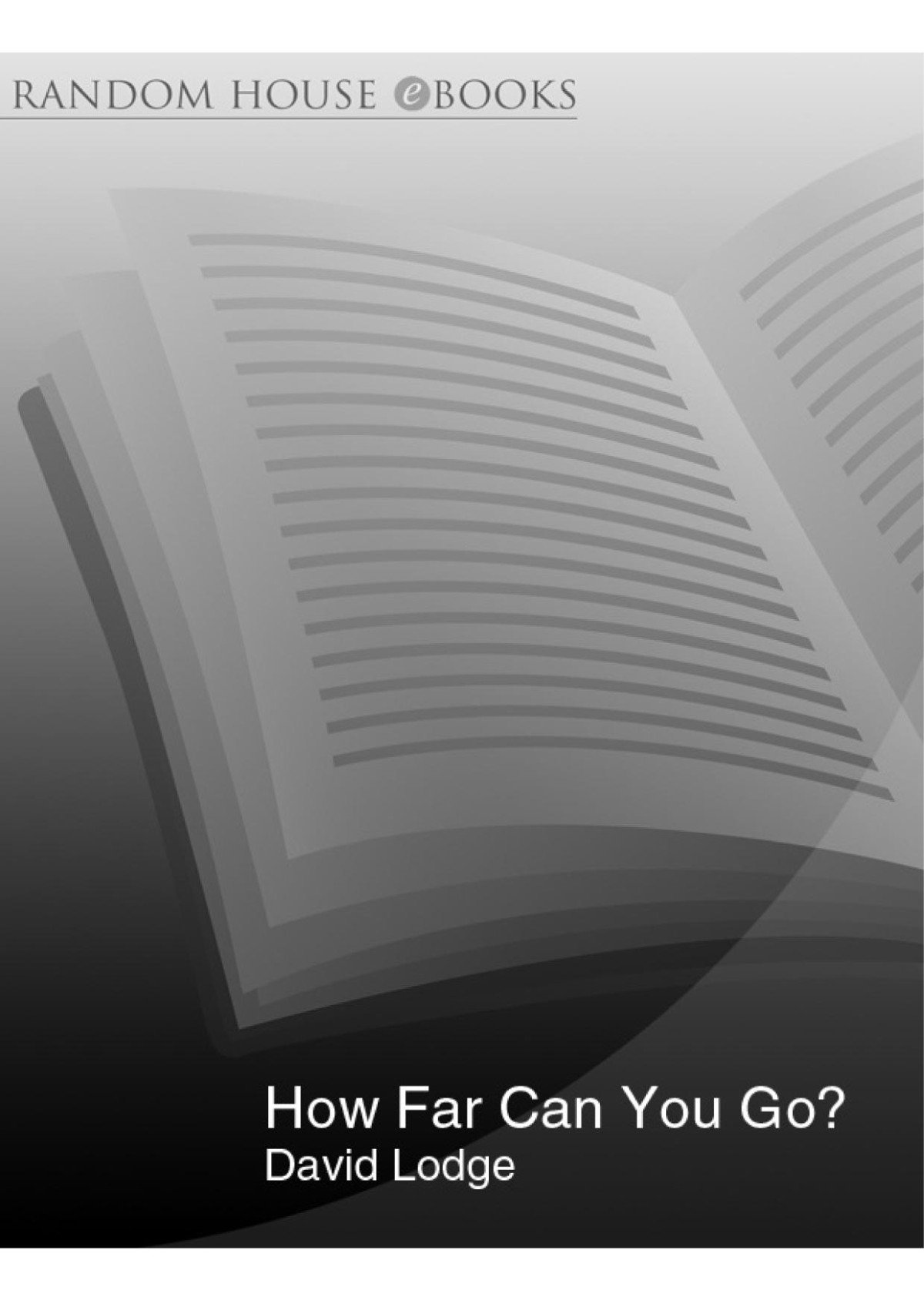 How Far Can You Go David Lodge