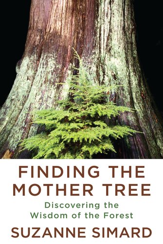 Finding The Mother Tree Discovering The Wisdom Of The Forest Suzanne Simard