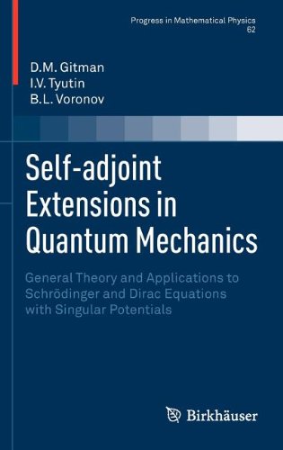 Selfadjoint Extensions In Quantum Mechanics General Theory And Applications To Schrdinger And Dirac Equations With Singular Potentials 1st Edition Dm Gitman