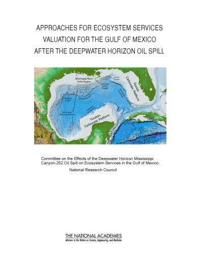 Approaches For Ecosystem Services Valuation For The Gulf Of Mexico After The Deepwater Horizon Oil Spill Interim Report 2011