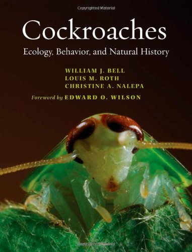 Cockroaches Ecology Behavior And Natural History William J Bell