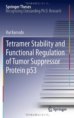 Tetramer Stability And Functional Regulation Of Tumor Suppressor Protein P53 1st Edition Rui Kamada Auth