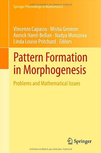 Pattern Formation In Morphogenesis Problems And Mathematical Issues 1st Edition Misha Gromov Auth