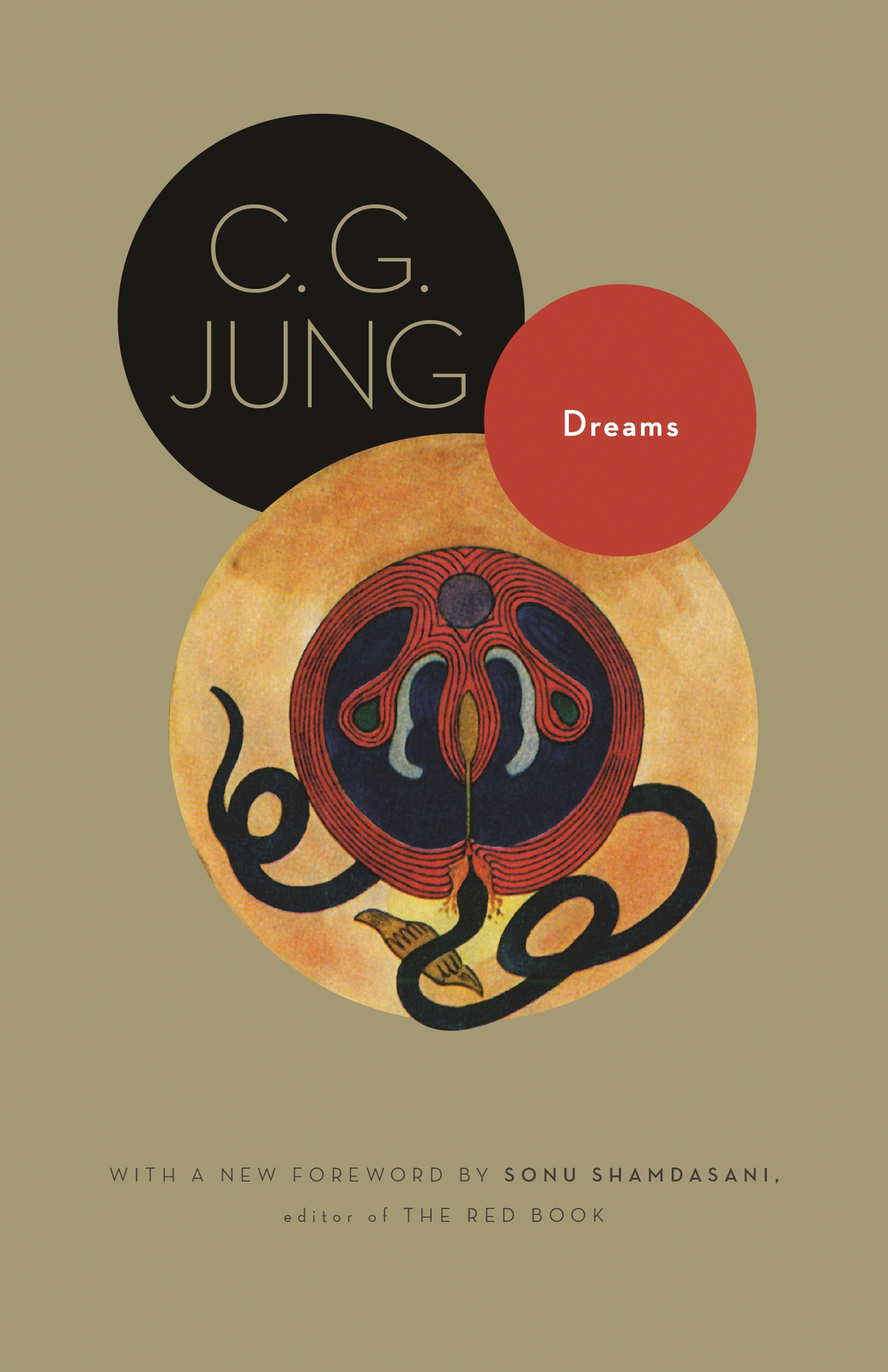 Dreams From Volumes 4 8 12 And 16 Of The Collected Works Of C G Jung Reprint C G Jung