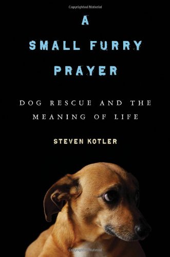 A Small Furry Prayer Dog Rescue And The Meaning Of Life 1st Edition Steven Kotler