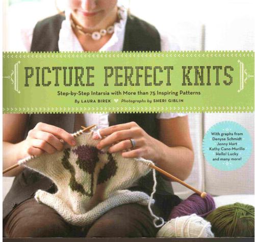 Picture Perfect Knits Laura Birek