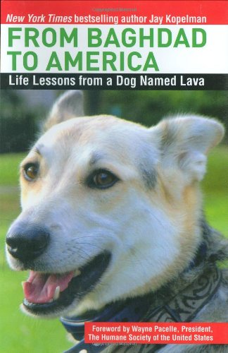 From Baghdad To America Life Lessons From A Dog Named Lava 1st Edition Jay Kopelman