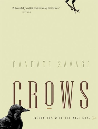 Crows Encounters With The Wise Guys Of The Avian World Candace Savage