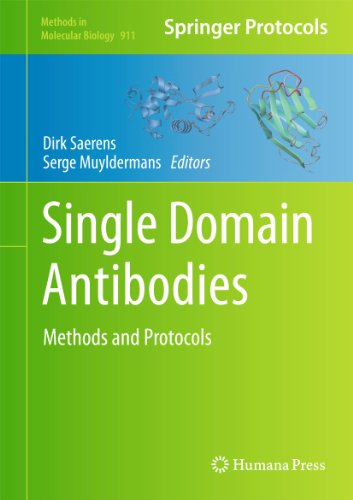 Single Domain Antibodies Methods And Protocols Dirk Saerens