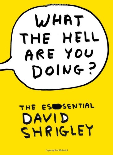 What The Hell Are You Doing David Shrigley