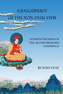 A Juggernaut Of The Nondual View Tony Duff