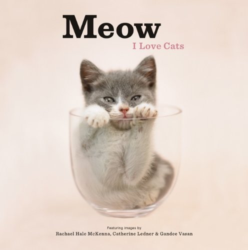 Meow I Love Cats 1st Edition Rachael Hale Mckenna Catherine Ledner