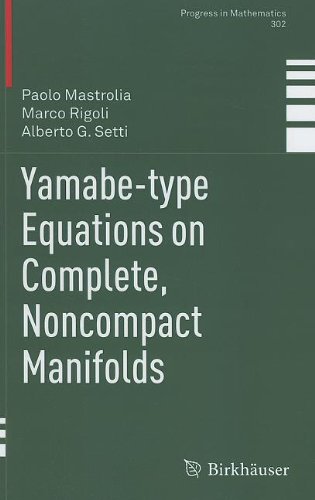 Yamabetype Equations On Complete Noncompact Manifolds 1st Edition Paolo Mastrolia