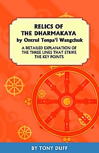 Relics Of The Dharmakaya A Detailed Explantion Of The Three Lines That Strike The Key Points Tony Duff