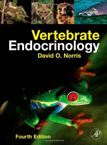 Vertebrate Endocrinology Fourth Edition 4th Edition David O Norris