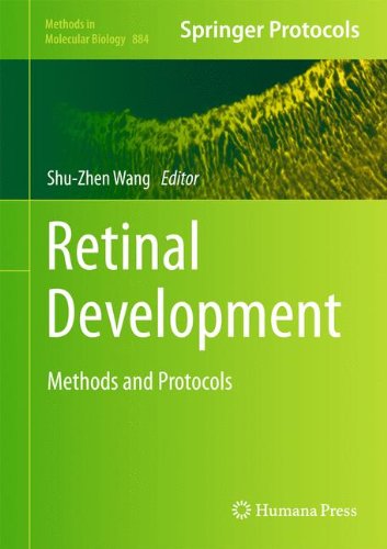 Retinal Development Methods And Protocols 2012th Edition Shuzhen Wang