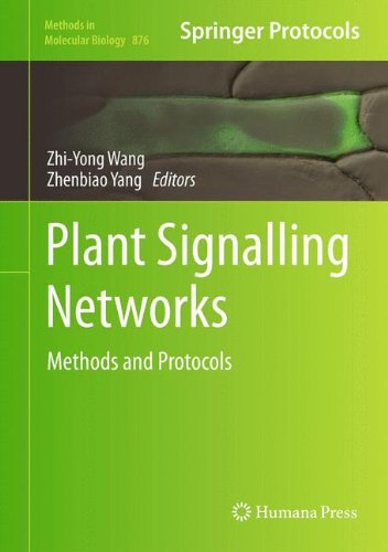 Plant Signalling Networks Methods And Protocols 2012th Edition Zhiyong Wang