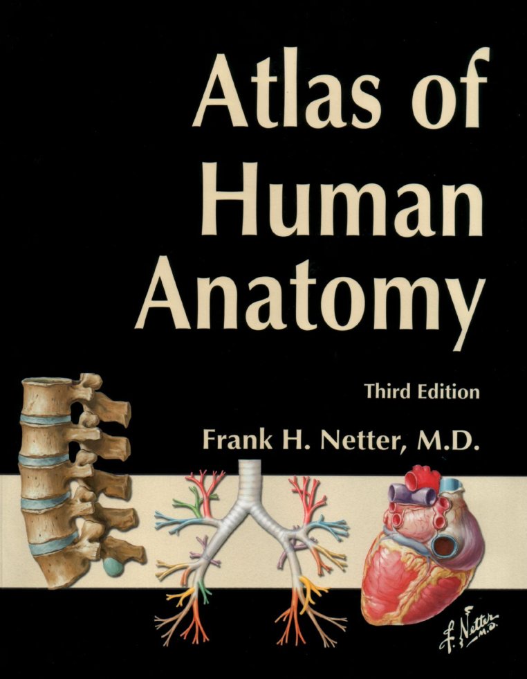 Atlas Of Human Anatomy 3rd Edition Frank H Netter John T Hansen