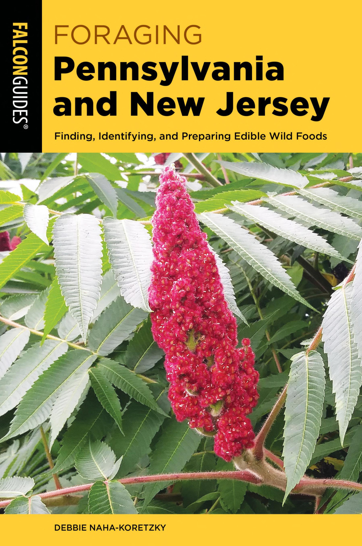 Foraging Pennsylvania And New Jersey Finding Identifying And Preparing Edible Wild Foods Debbie Nahakoretzky