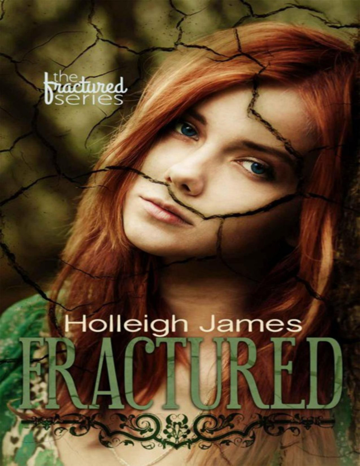 Fractured Fractured 1 Holleigh James James Holleigh