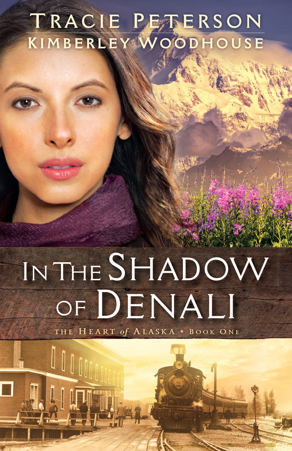 In The Shadow Of Denali Tracie Peterson