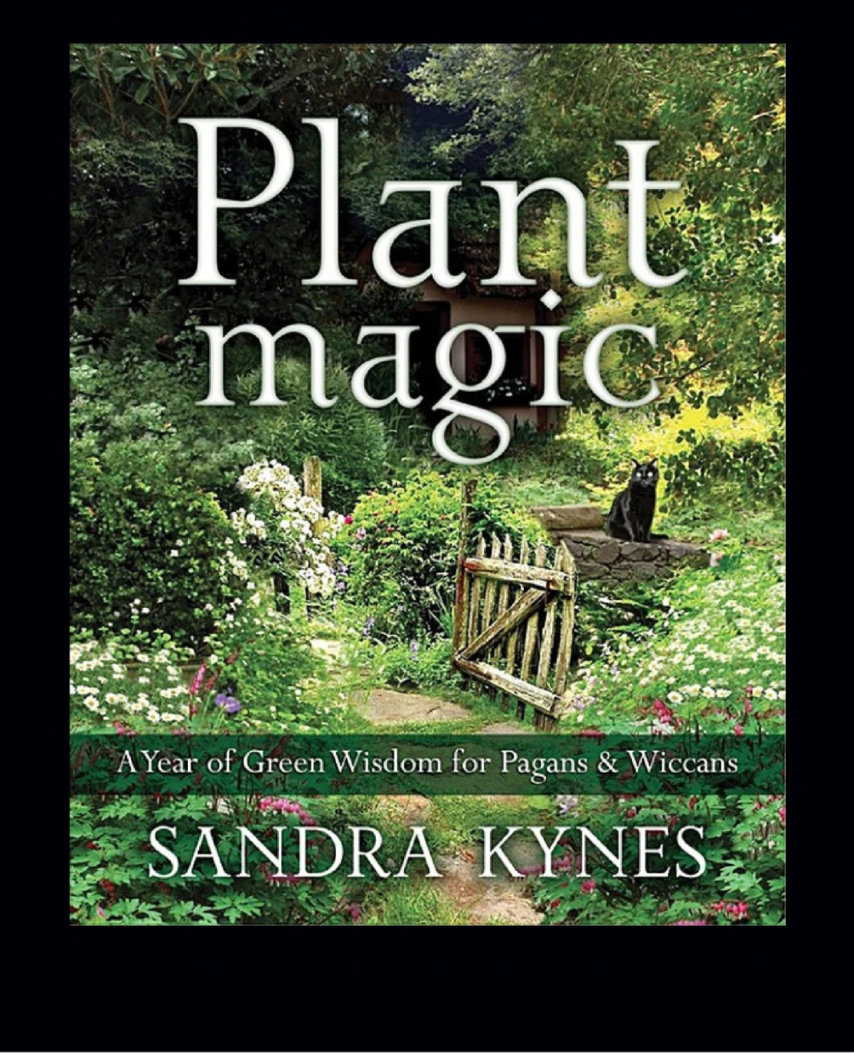 Plant Magic A Year Of Green Wisdom For Pagans Wiccans Sandra Kynes Kynes