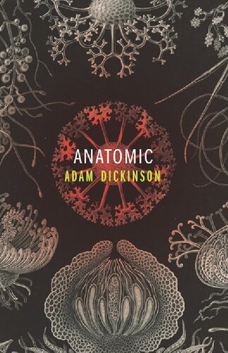 Anatomic Adam Dickinson