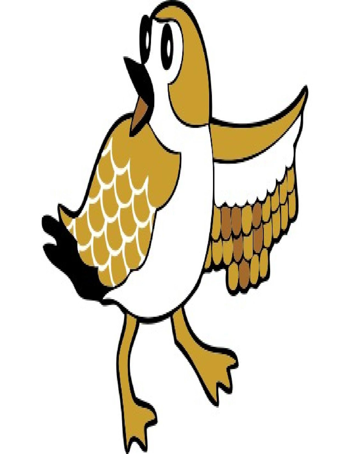 Learn Plover Brown Zach Brown Zach