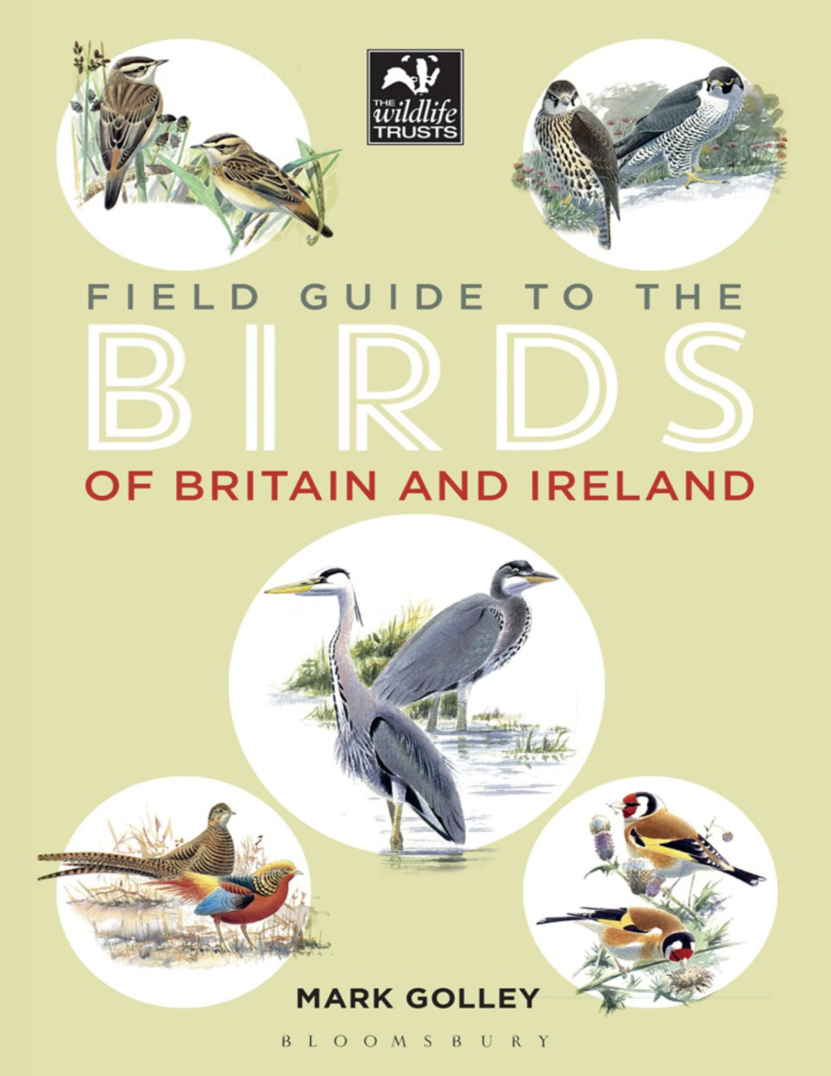 Field Guide To The Birds Of Britain And Ireland Mark Golley
