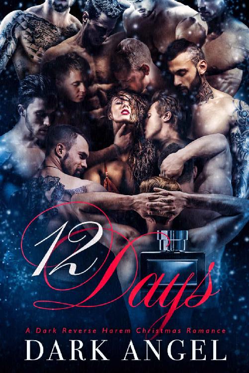 12 Days A Dark Reverse Harem Christmas Romance Dark Angel Angel