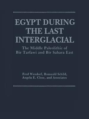 Egypt During The Last Interglacial The Middle Paleolithic Of Bir Tarfawi And Bir Sahara East Angela E Close Romuald Schild Fred Wendorf Close