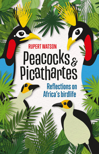 Peacocks Picathartes Rupert Watson