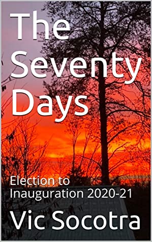 The Seventy Days Election To Inauguration 202021 Vic Socotra Coastal Empire Socotra