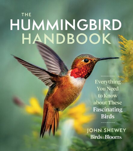 The Hummingbird Handbook Everything You Need To Know About These Fascinating Birds John Shewey