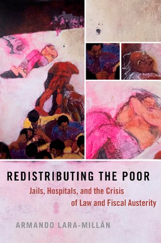 Redistributing The Poor Jails Hospitals And The Crisis Of Law And Fiscal Austerity Armando Laramilln