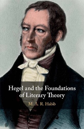 Hegel And The Foundations Of Literary Theory M A R Habib
