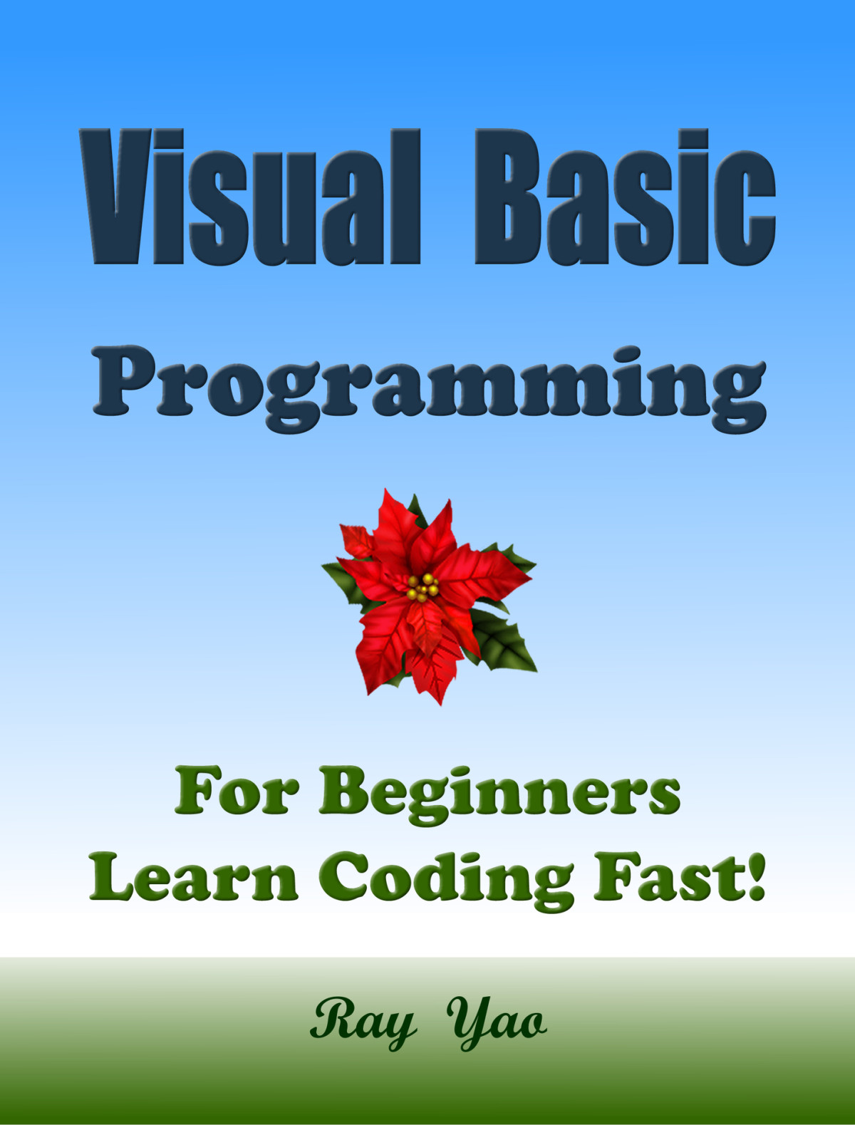 Visual Basic Programming For Beginners Learn Coding Fast Yao