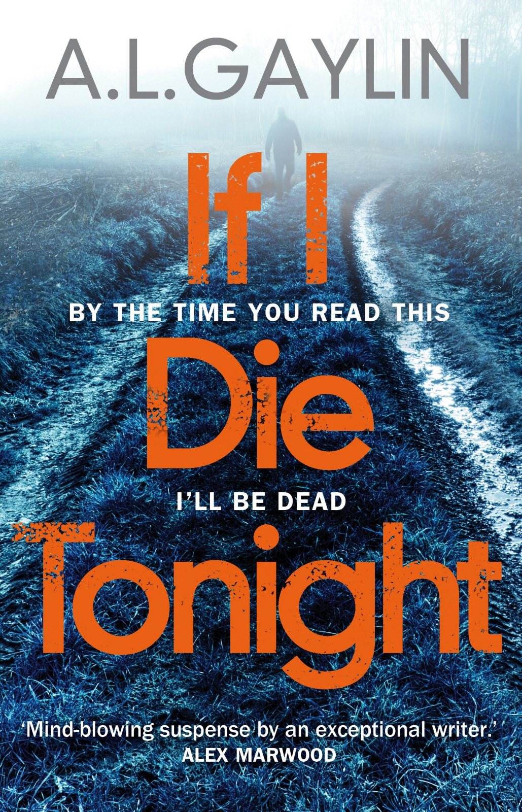 If I Die Tonight Al Gaylin Gaylin Al