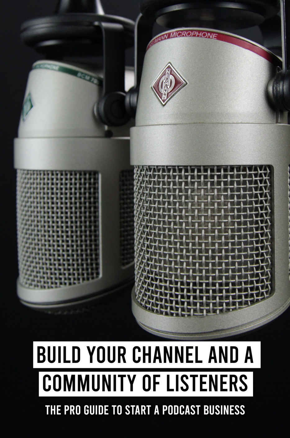 Build Your Channel And A Community Of Listeners The Pro Guide To Start A Podcast Business Podcasting For Dummies Lastella