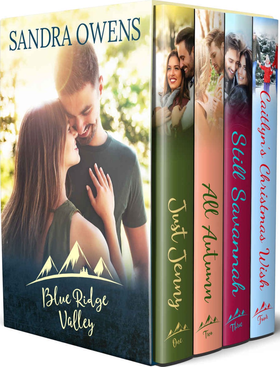 Blue Ridge Valley 0104 Complete Box Set Sandra Owens