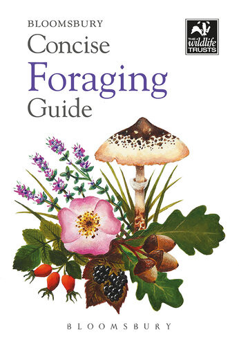 Concise Foraging Guide Tiffany Francisbaker Julie Bailey
