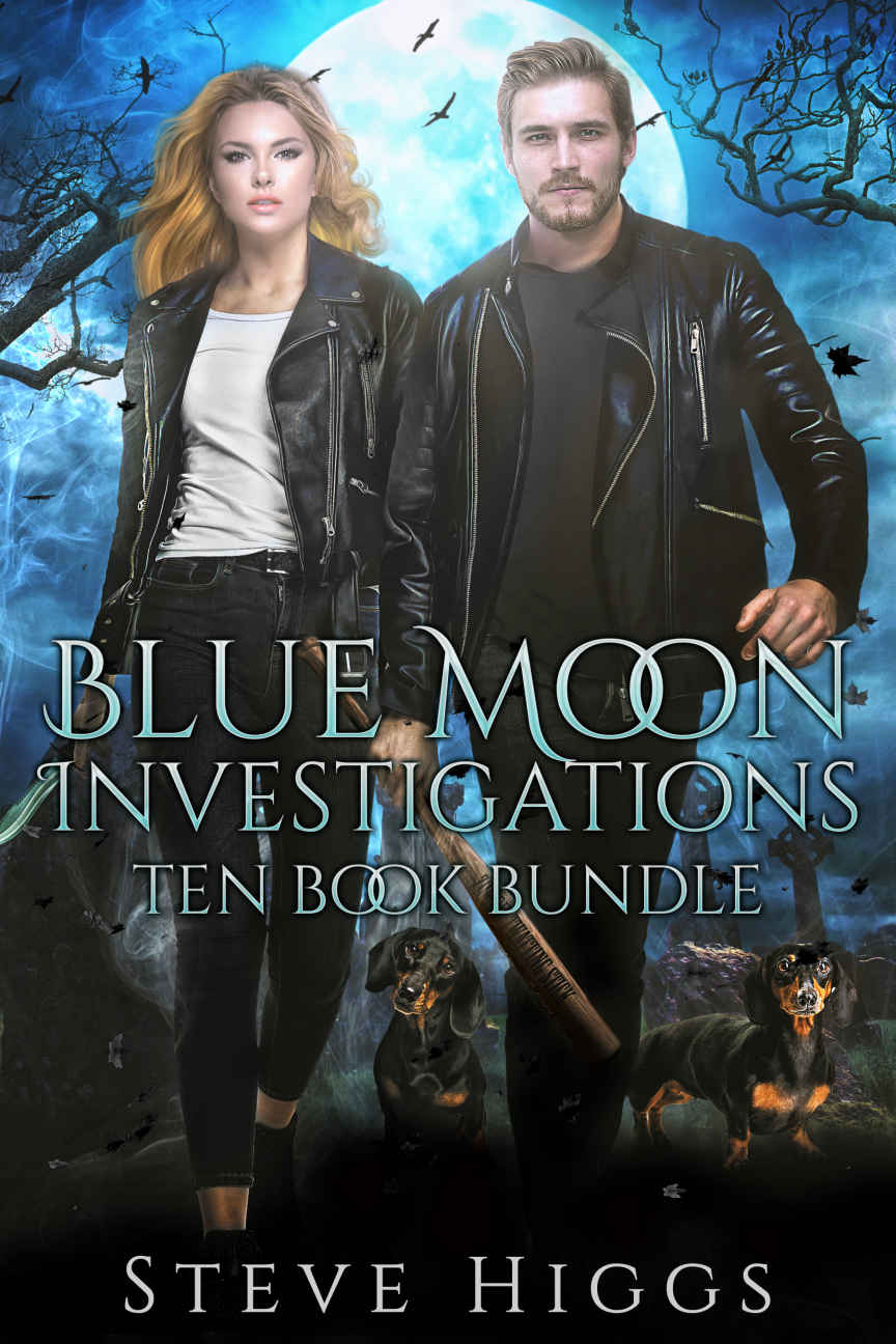 Blue Moon Investigations Ten Book Bundle Steve Higgs Higgs Steve