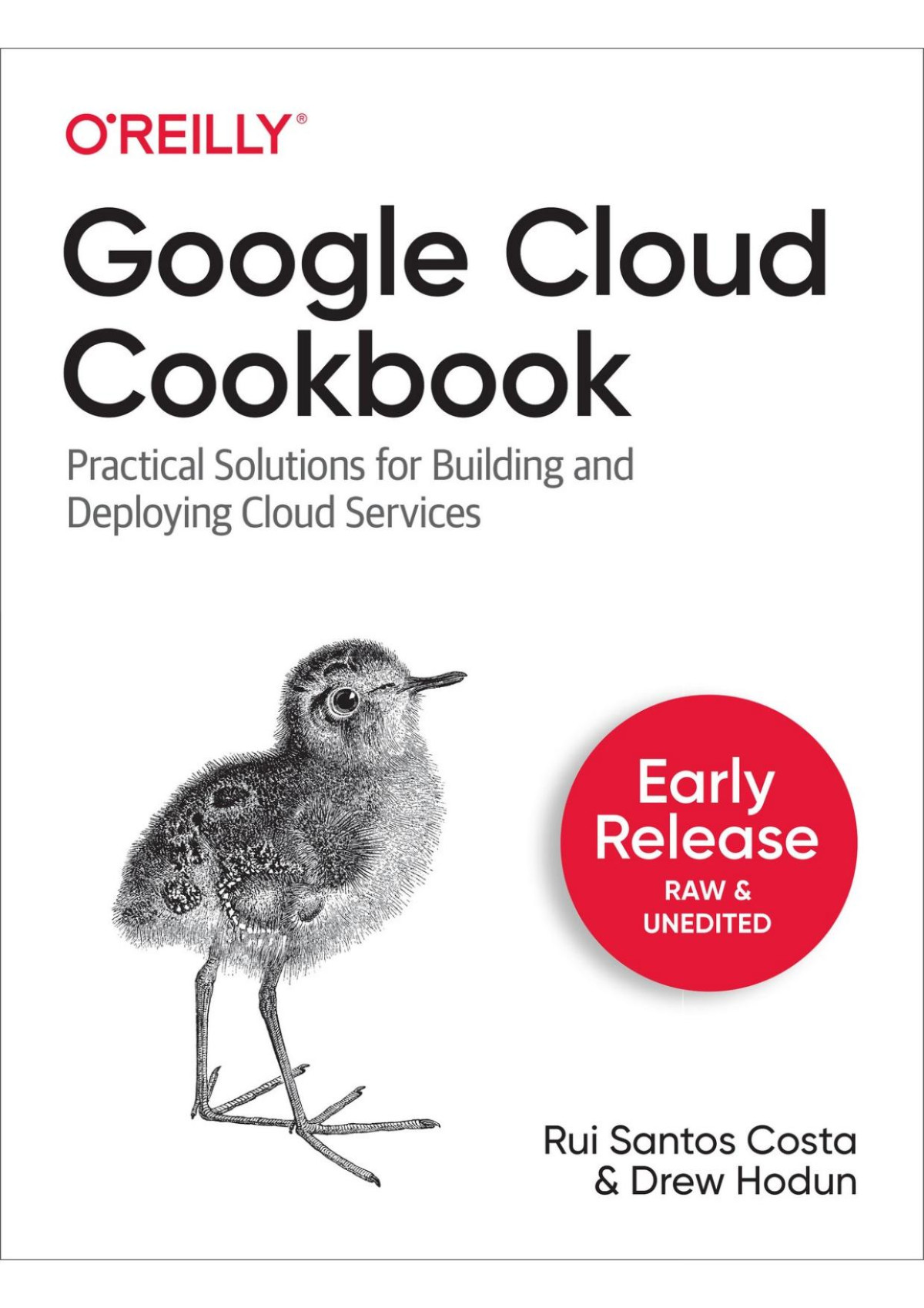 Google Cloud Cookbook Rui Costa Drew Hodun Rui Costa